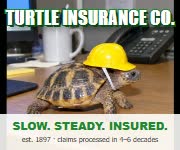 Turtle Insurance Co. — slow, steady, insured (does not exist)