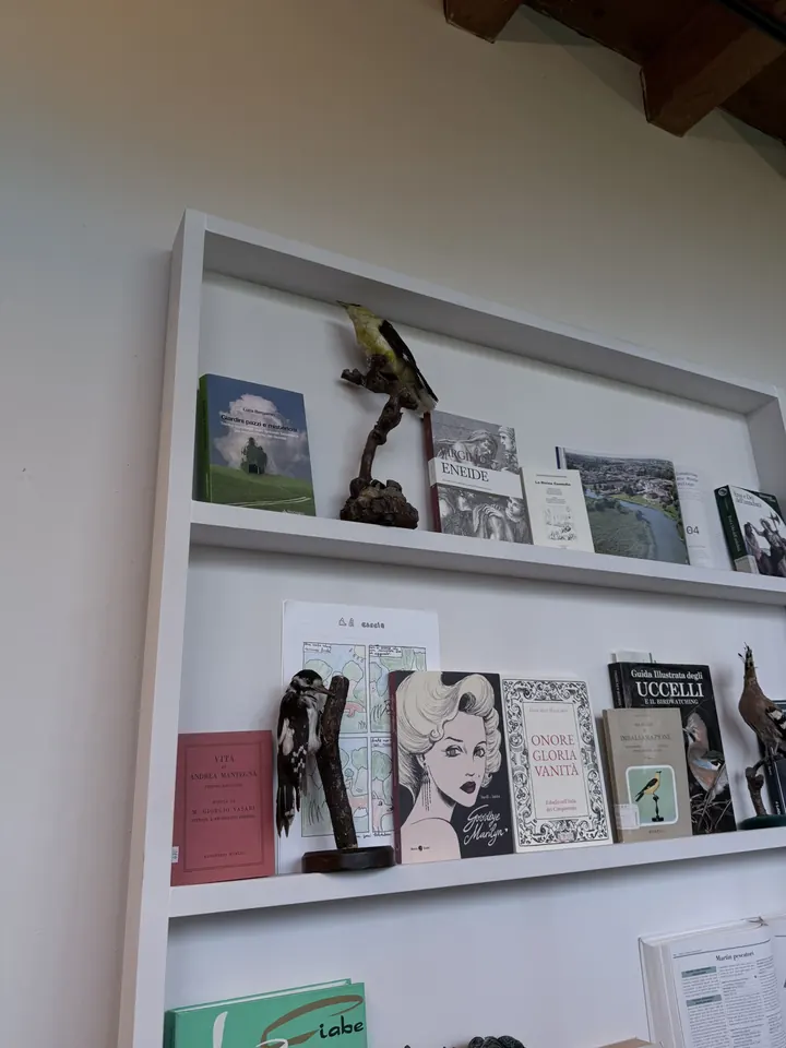 Scaffali con libri sul territorio e un picchio imbalsamato