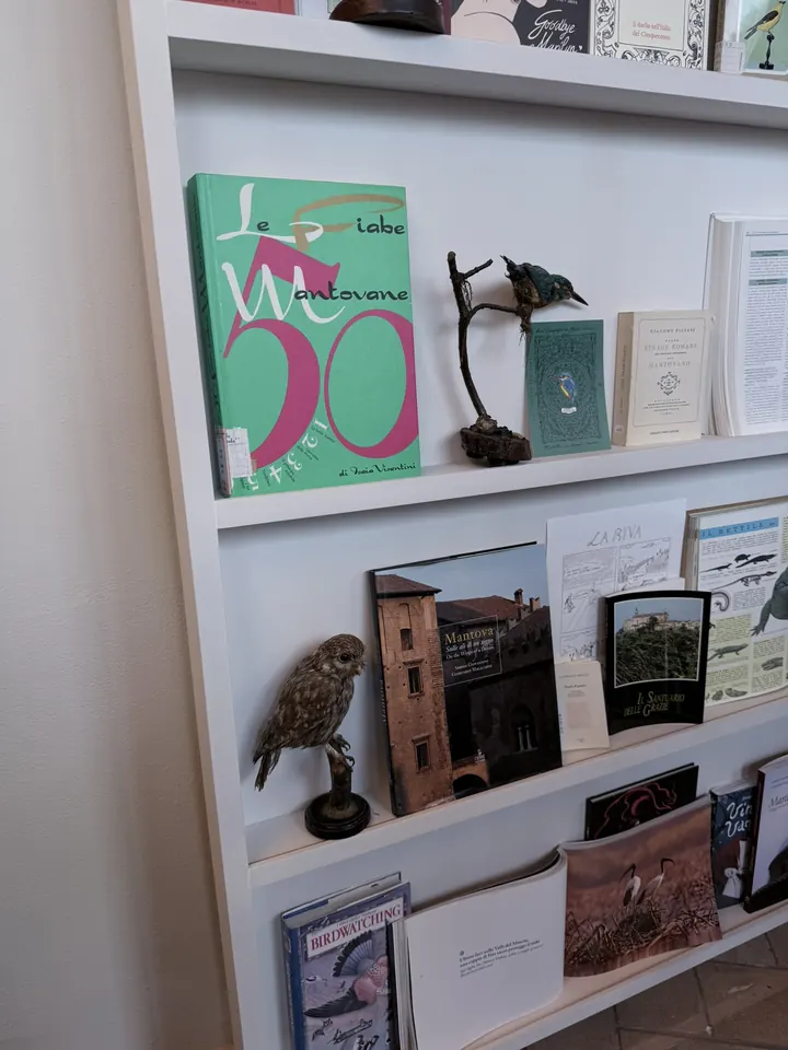 Una civetta e un martin pescatore imbalsamati tra i libri dello scaffale