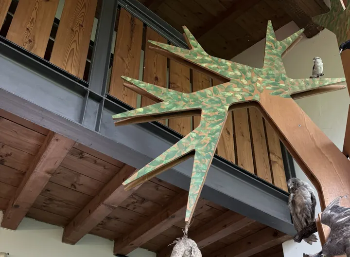 Un ramo di legno a forma di stella appeso sotto il ballatoio, con un nido e un uccello