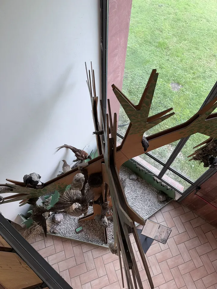 Uccelli imbalsamati su un albero di legno accanto alla vetrata sul prato
