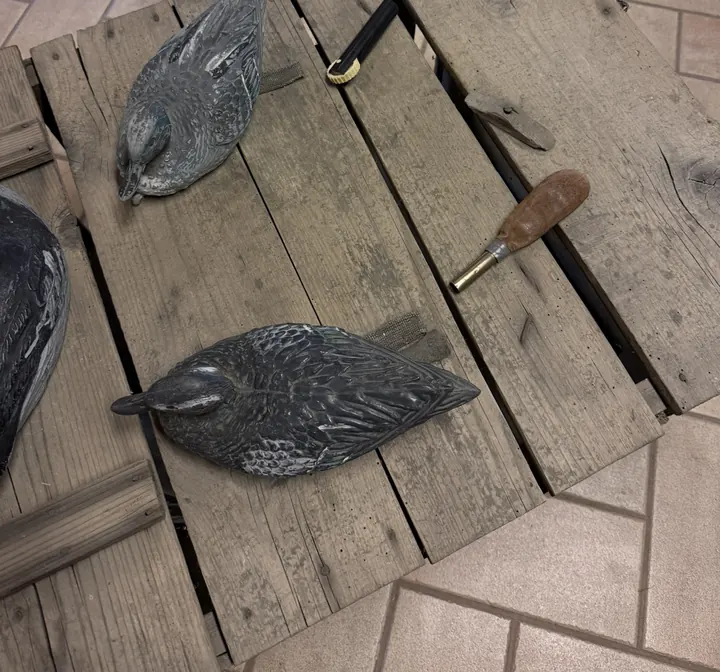 Due stampi di anatra da richiamo su una cassetta di legno