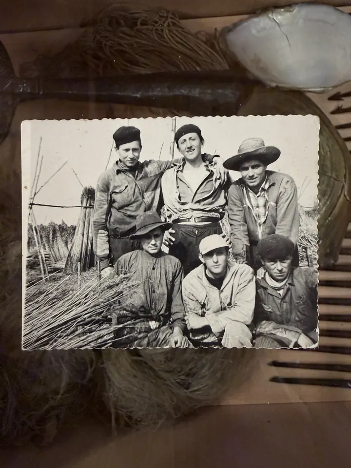 Una fotografia d’epoca in bianco e nero di un gruppo di uomini con le fascine di canna