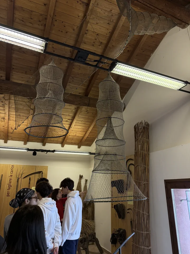 Compagni di classe nella sala della pesca, sotto le nasse appese al soffitto di legno