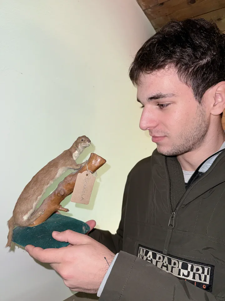 Un compagno di classe guarda da vicino la donnola imbalsamata che tiene in mano