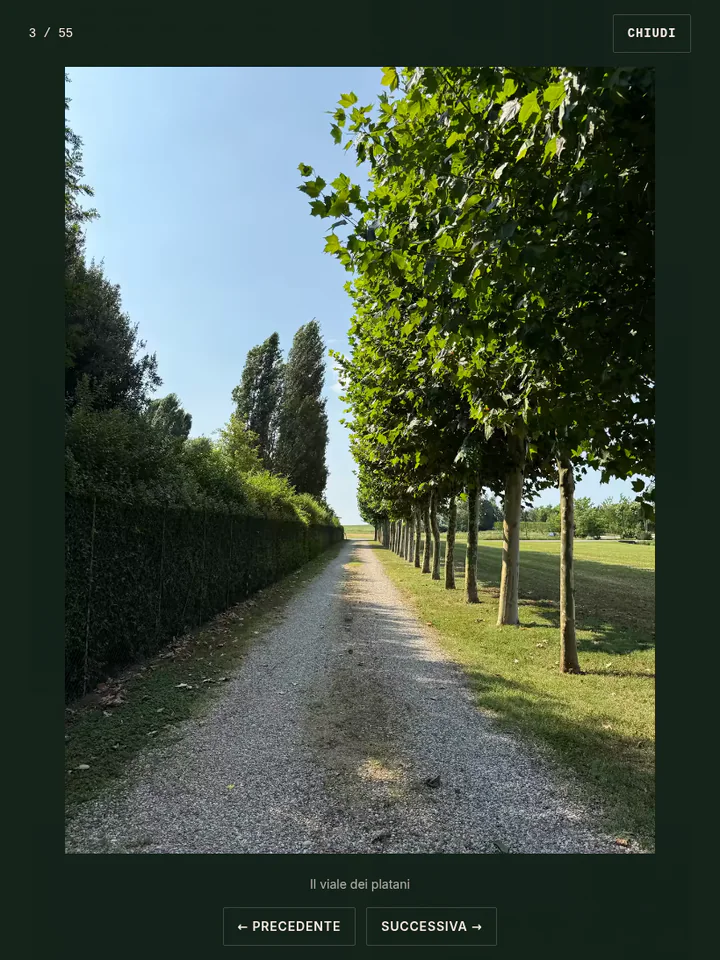 La galleria di cascinafontana.xyz con la lightbox aperta sulla fotografia del viale dei platani